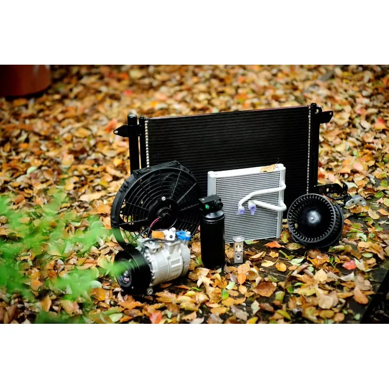 40L Portable Electric Cooler C - огляд і ціна Wine Beer Mini Fridge